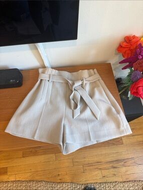 Babaton Aritzia High-Waist Tie-Belt Shorts